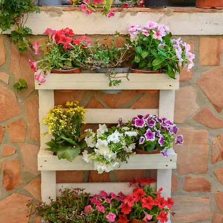 Maison De Fabienne Lägenhet